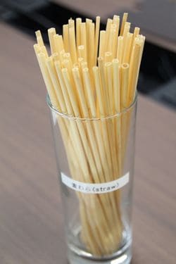 麦わら（Straw）のストロー