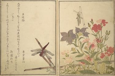 情事の前後まで目に浮かぶ…「べらぼう」歌麿が春画でも才能を発揮した「神 情事の前後まで目に浮かぶ…「べらぼう」歌麿が春画でも才能を発揮した「神