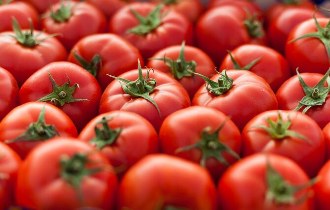 新鮮で癒しの食べ物トマトと完全なイメージ