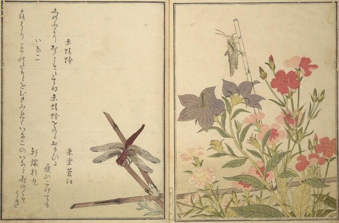 喜多川歌麿画『画本虫撰（えほんむしえらみ）』