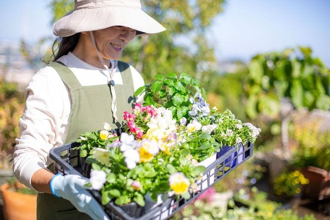ガーデニングをする中年の女性