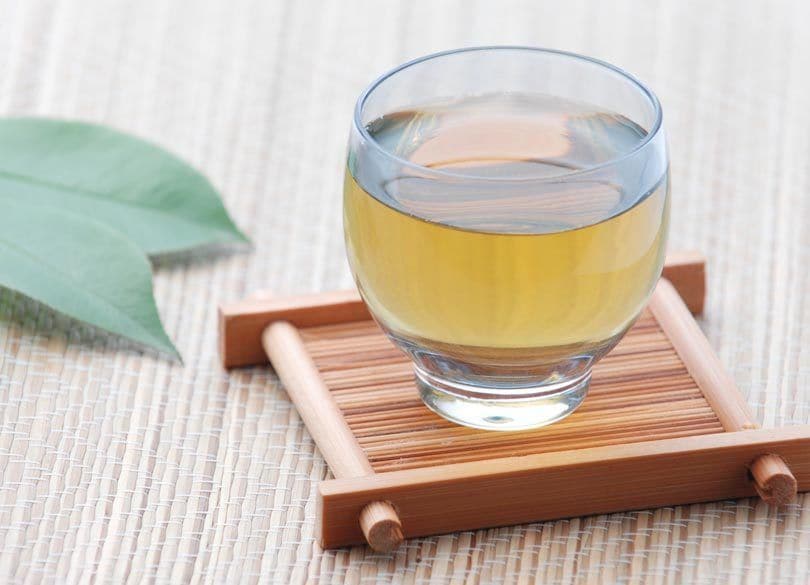 健康ブームのアメリカで人気！ 日本茶の輸出が急増中