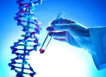 "サルの子供を産みたい"女子大生は異常か