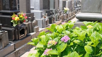墓が遠くて困り果てた人が取るべき3つの手段