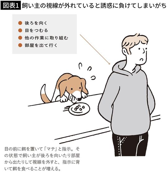 【図表1】飼い主の視線が外れていると誘惑に負けてしまいがち