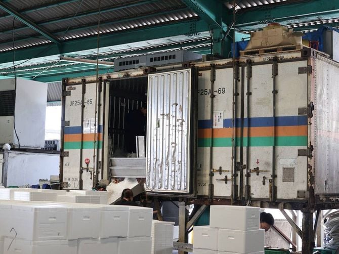 発泡スチロールに氷を詰めているところ