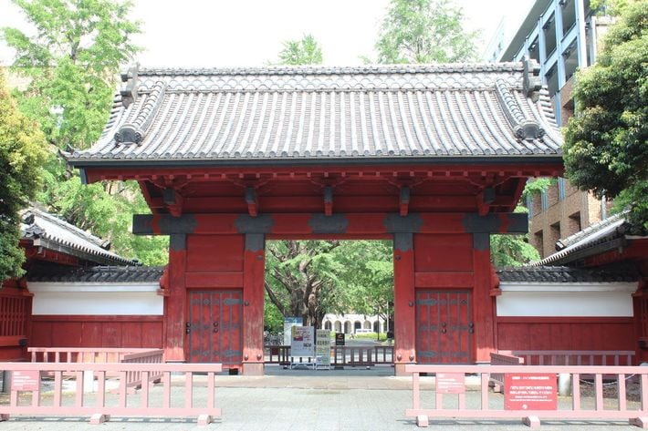 ※写真はイメージです