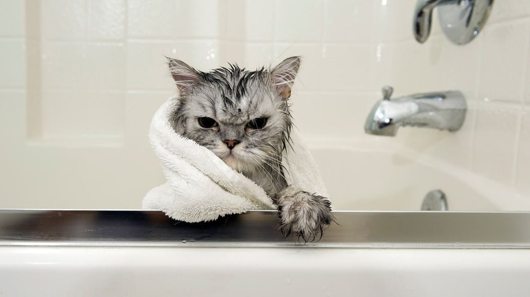 年中シャワーだけ"浴槽キャンセル界隈"に迫る危機…平熱36.5度でも安心できない｢隠れ冷え性｣の健康リスク ｢むくみ｣｢水太り｣から｢血流悪化｣｢内臓機能低下｣まで