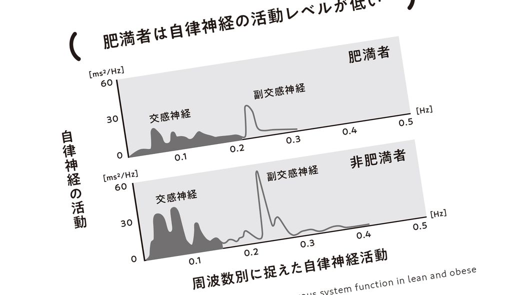 痩せられないのは意志の弱さが原因ではなかった…｢自律神経の機能低下と体重｣の意外な関係 本来､人間の体は太らないようにできている