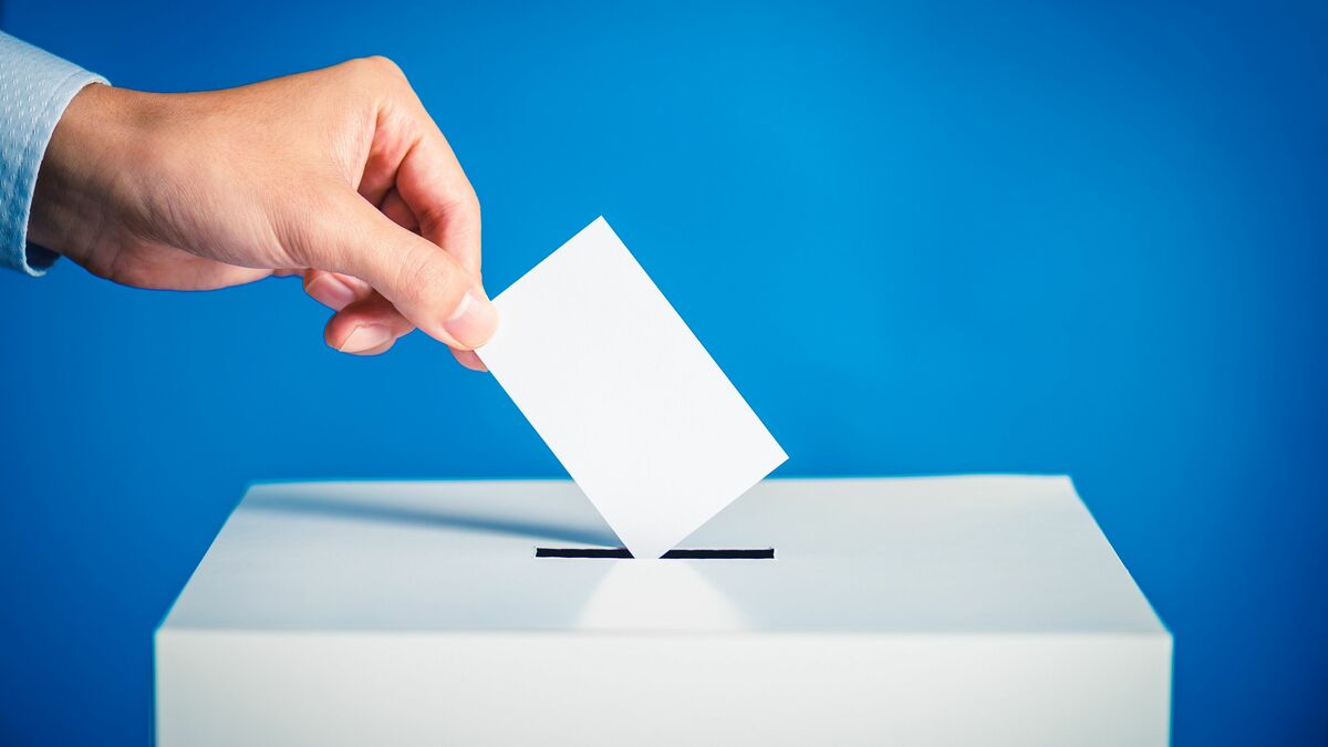 D vote. Voting Box. Election Box. Коробка для голосования картинка. Vote Box voting.