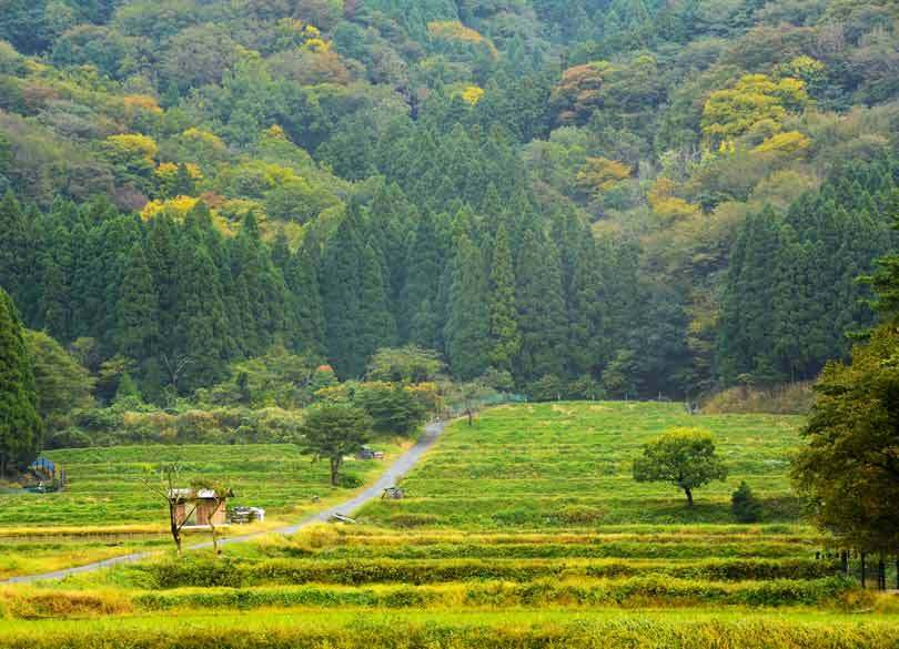 医師不足が進む過疎地、患者は「あきらめの境地」だが平均寿命は延びる？