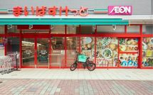 イオンの｢まいばすけっと｣だけじゃない…セブンイレブンやトライアルまで参入する殺風景スーパー戦争の行方