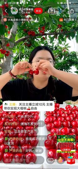 ライブコマースでさくらんぼを直販する農家