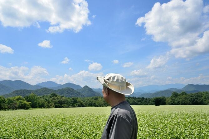 そば畑を散策するおじいさん