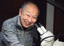 オスの晩年が悲惨なのは人間とライオンだ