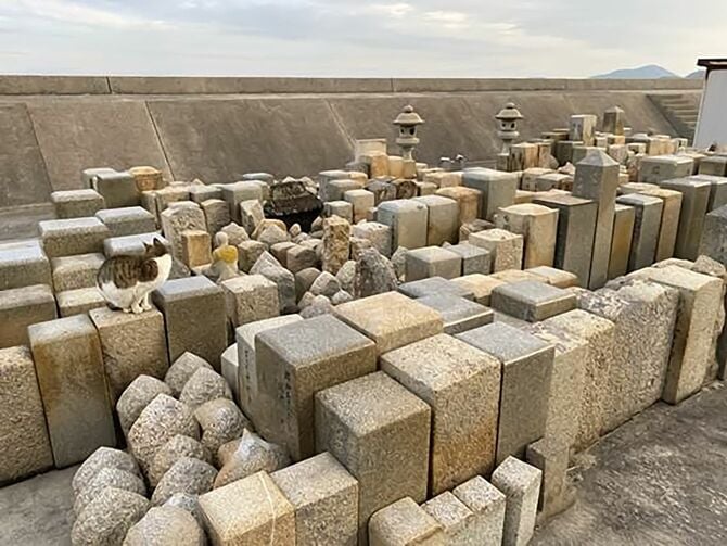 無縁になった墓