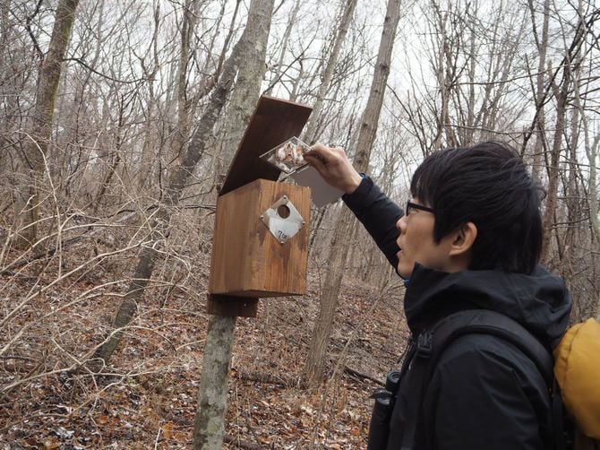巣箱を確認する鈴木さん