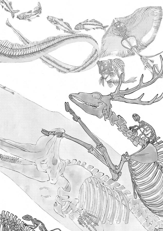 『へんなものみっけ!』c早良朋/小学館