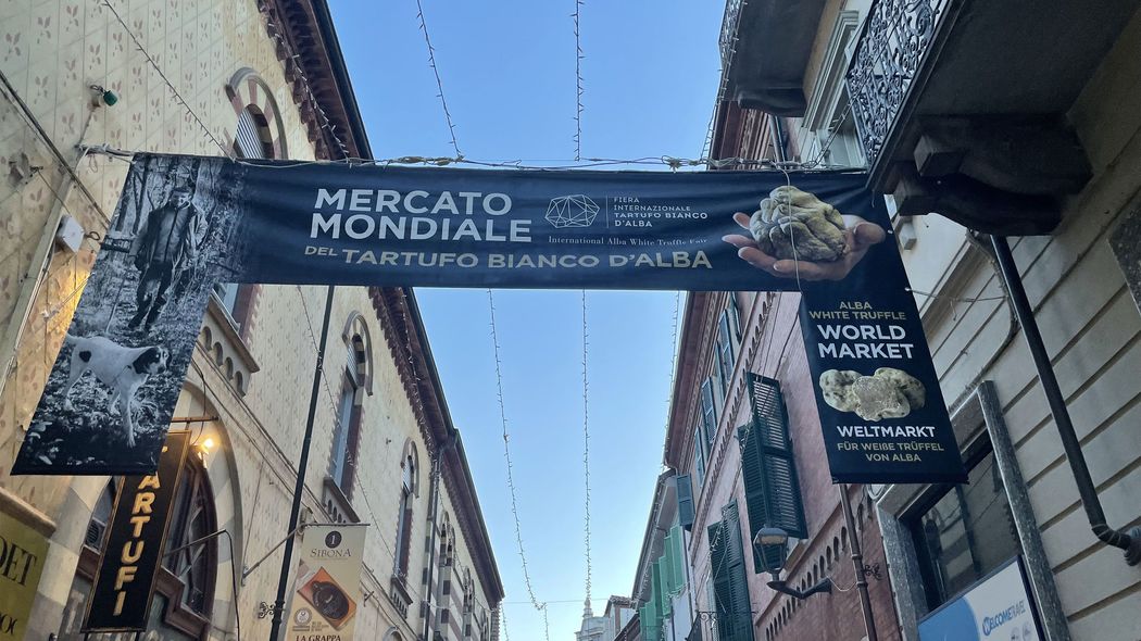 自家用ジェットで世界中の富豪が大集合…イタリアで秘密開催｢1kg1600万円の価値｣究極のキノコ狩りに参加した 彼らは｢人生に刻む忘れられない瞬間｣に投資している