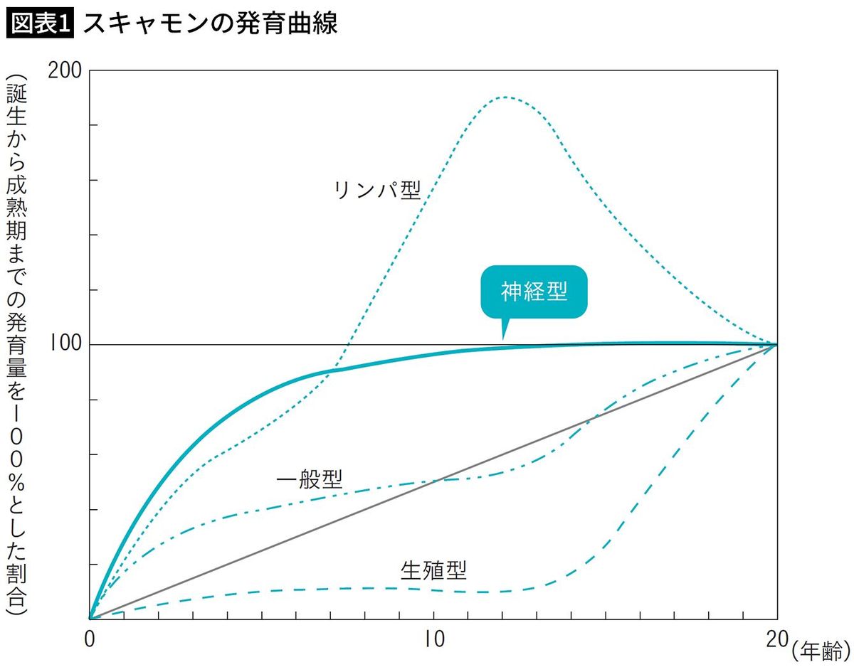 【図表1】スキャモンの発育曲線