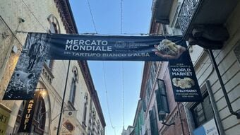 自家用ジェットで世界中の富豪が大集合…イタリアで秘密開催｢1kg1600万円の価値｣究極のキノコ狩りに参加した