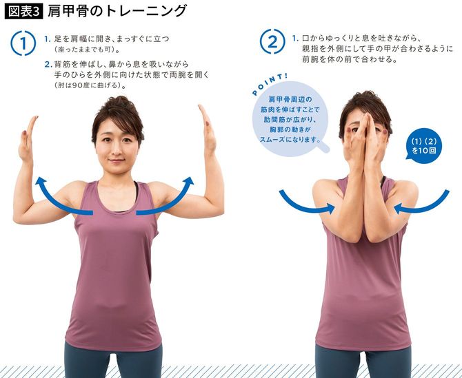肩甲骨周りのトレーニング