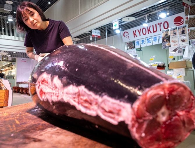 大型マグロを解体する高橋さん