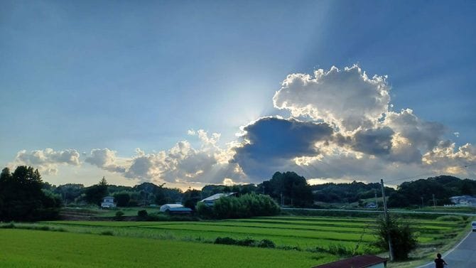 夏の田園風景