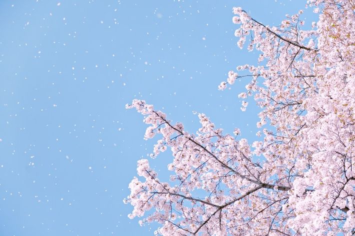 ※写真はイメージです