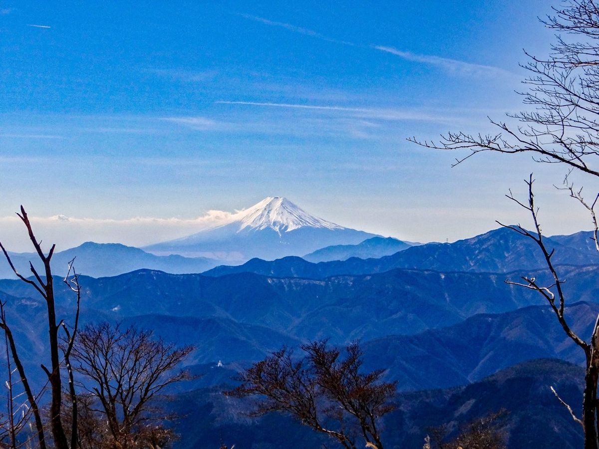 奥多摩高野洲山から富士山を見る