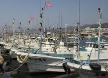 日本の漁業が中国の乱獲に相乗りする事情