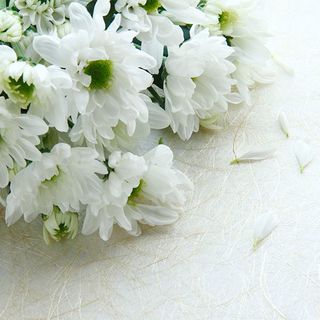 あたらしい お別れの場 をつくりだした30代若き納棺師の死生観 死が人を活かすというブレない信念 President Online プレジデントオンライン