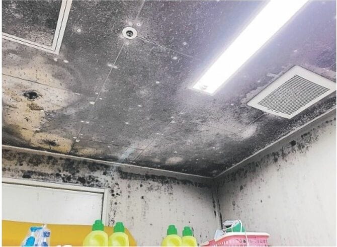 浴室に染みついた黒カビ