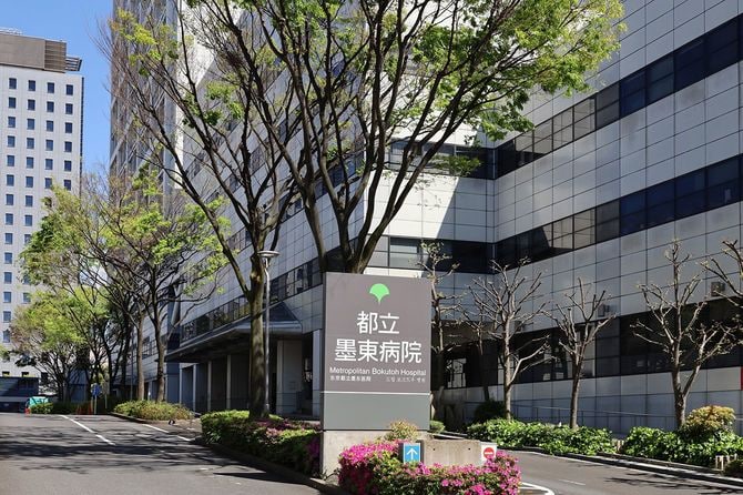 「現在の東京都立墨東病院」