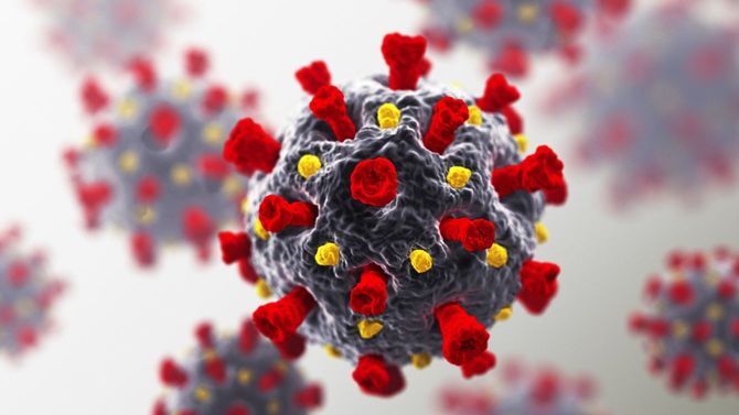 新型コロナウイルス（SARS-CoV-2）