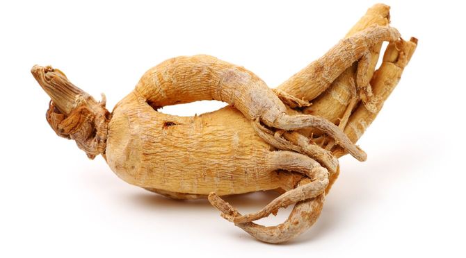 朝鮮人参(高麗人参)