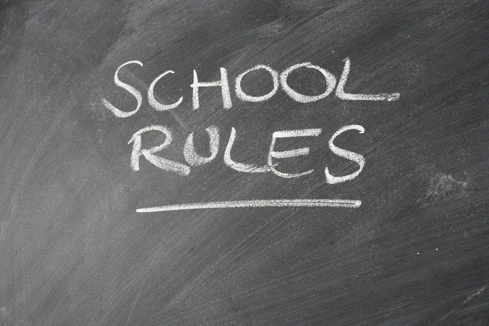 ※写真はイメージです