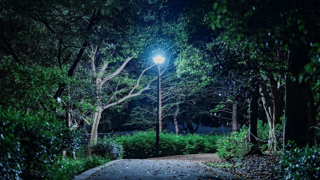 懐中電灯を手にした中国人が都内の公園をウロウロ…彼らが血眼で探し回る｢意外な高級食材｣の正体 職務質問で注意されると｢人種差別だ｣と逆ギレ