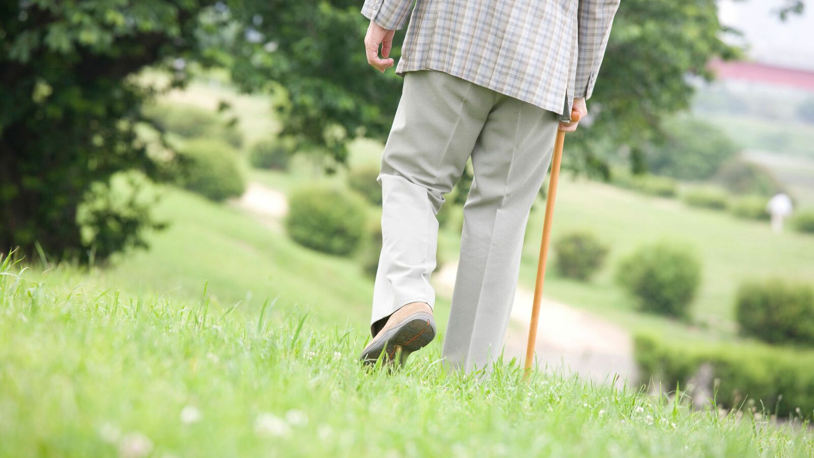 たった5日で脳卒中の男性が歩けるようになり､高齢者の視力･聴力が上がった…ハーバード大の驚きの実験 人は｢肉体の老い｣より｢年齢を自覚する｣と老いる