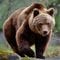 135キロの巨体が私の軽トラに咬みついた…クマに9回襲われた研究家が目撃した｢クマを困らす意外な天敵｣