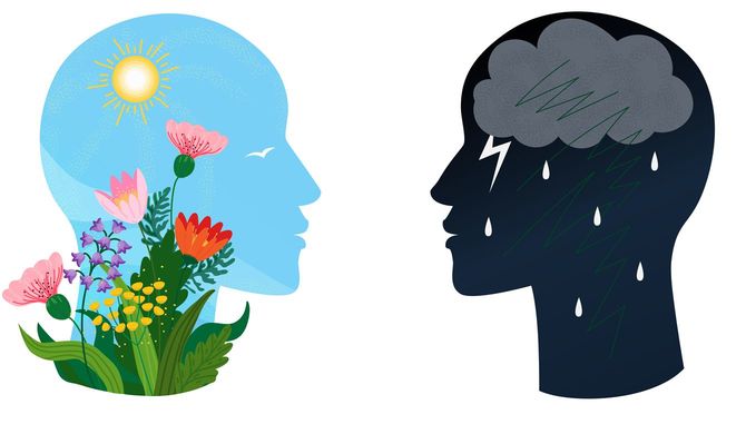 意識の異なる状態を持つ2つの頭