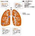図4．一口に肺がんといってもできる場所で悪性度や進行スピードが違う