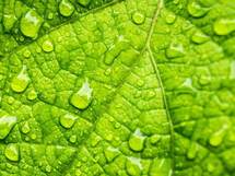 幸せになる「発想転換力」を鍛えよう