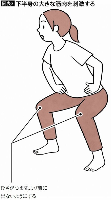 【図表3】下半身の大きな筋肉を刺激する