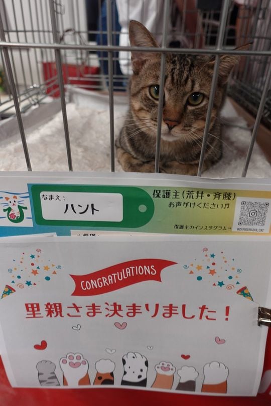 無事に里親が決まったハントくん