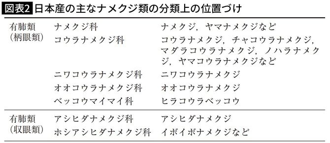 【図表2】日本産の主なナメクジ類の分類上の位置づけ