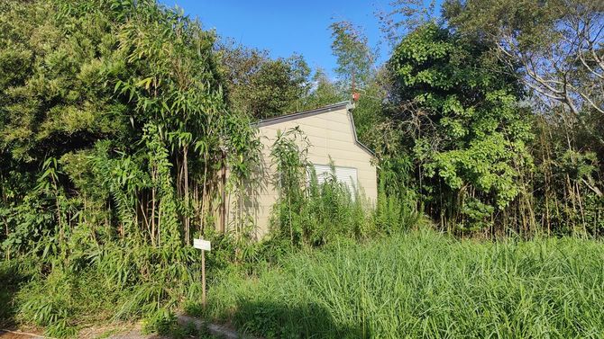 管理もせず、ただ所有しているだけで価格が維持できるような時代ではなくなっている。（千葉県匝瑳市）