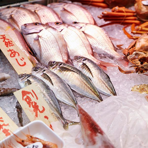 スーパーの魚売り場とは正反対…｢店員が多すぎる魚屋・角上魚類｣が繁盛 ...