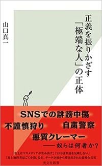 山口真一『正義を振りかざす「極端な人」の正体』（光文社新書）