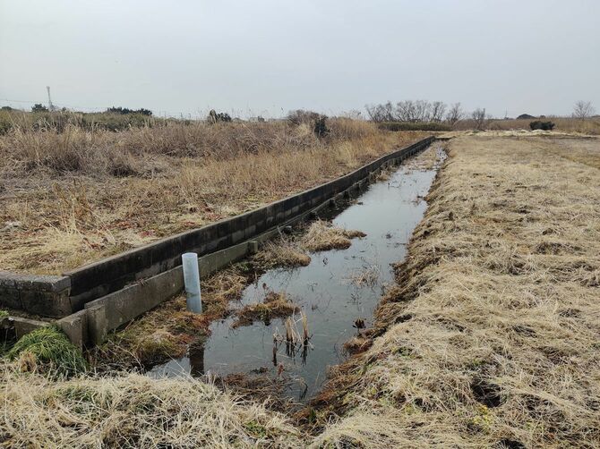 分譲地の周辺は、降雨後は湿地と化し、土留めは沈下によりゆがんでいる。（2022年2月撮影）